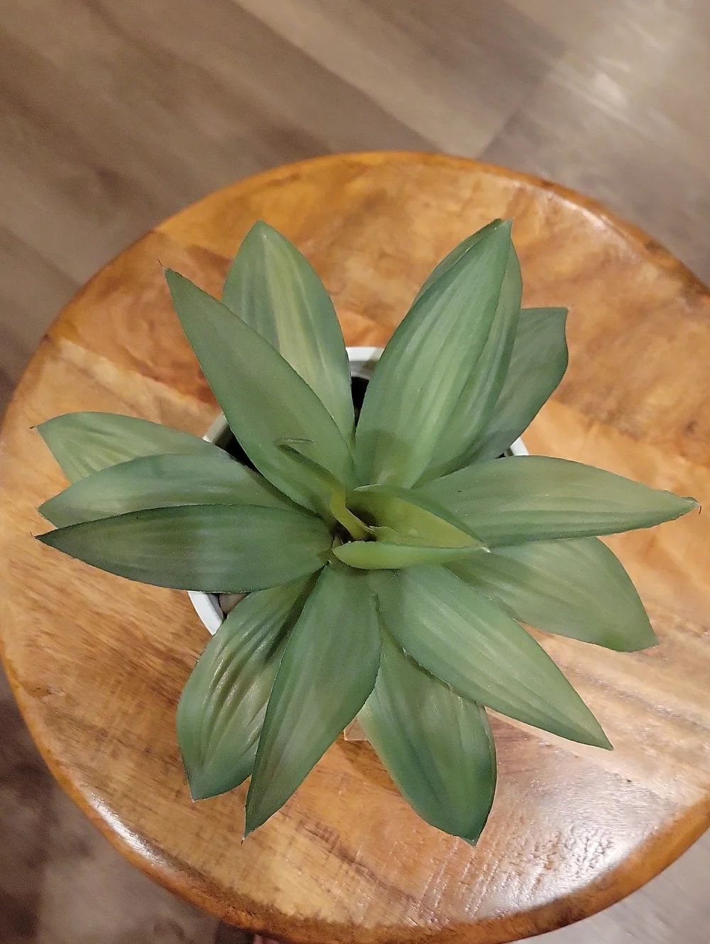 Pier 1 Faux Plant In White Planter